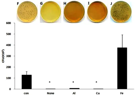 Fig. 3. Antibacterial abilities of Rayon dyed with C. obtusa extract after 3 times washing