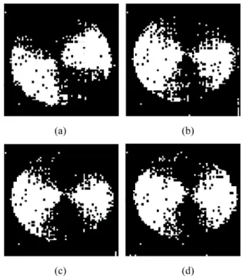 Fig. 6. Measurement results of conventional CMOS image sensors for the object rotating at 8000 rpm, at (a) 500, (b) 1000, (c) 1500, and (d) 2000 fps.