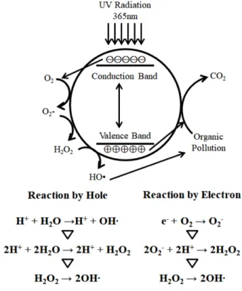 Fig. 2. TiO 2  photocatalyst reaction.