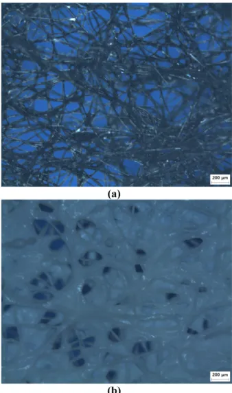 Fig. 6. Optical microscope image of substrate (a) before coating, (b) after coating.