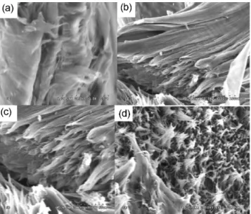 Fig. 6. Variation of tan  δ of DA-G/LLDPE composites against temperature 