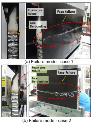 Fig. 5. Compressive failure modes
