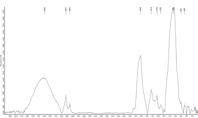 Fig. 6. Intermolecular hydrogen bond between the flavonoid and the hydroxyl groups of cotton.