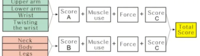 Fig. 1. RULA application procedures.