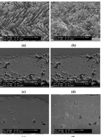Fig. 5. SiCf/SiC composite specimen cut in 1cm long pieces. (a) Before thermal shock, (b) After thermal shock 