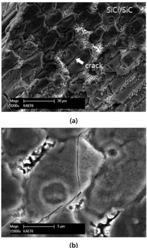 Fig. 11. Surface of SiC f /SiC composite after thermal shock test (SEM x3200) 