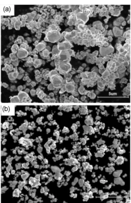 Fig. 1. SEM images of as received (a) tungsten and (b) HfC powder