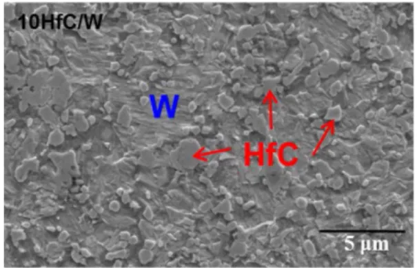 Fig. 3. An SEM image of cross sectional microstructures of 10 vol% HfC/W composite