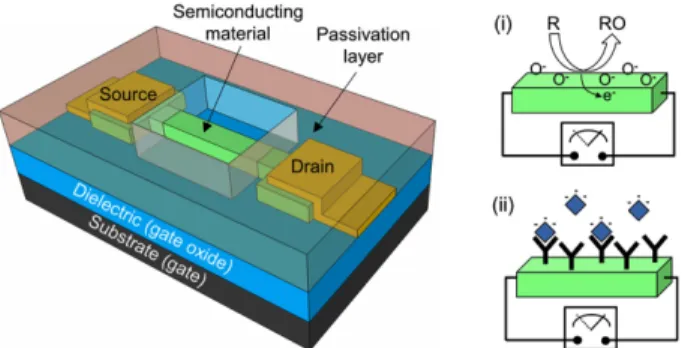 Fig 2. Schematic of an FET-based chemical and biological sensor. A semiconducting material is connected to source/drain  elec-trodes and the current is controlled by the gate electrode