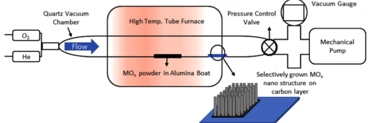 Fig. 1. Schematic image of graphene synthesized by CVD and MO x  growth. 