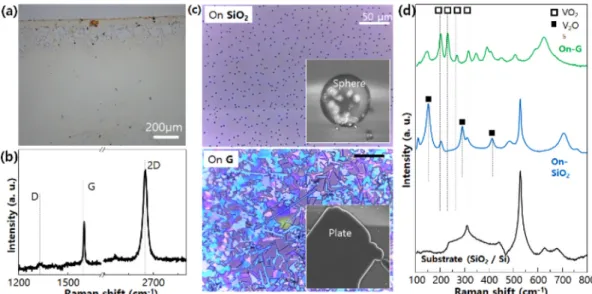 Fig. 2. (a) Digital camera image of graphene transferred on Si substrate. (b) Raman spectra of each layer of graphene