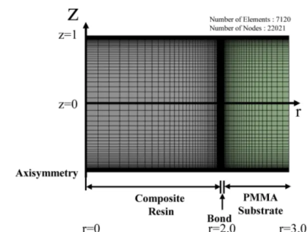 Fig. 5. Changing behavior of Young’s modulus of general dental composite resin according to curing time[19] 