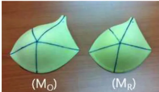 Fig. 5. Comparison of the cup shapes between original cup(M O ) vs.