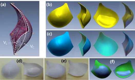 Table 2. Deviations(E) between the lengths of upper edges of the mold cups(L B ) and surface lengths on the body surfaces(L S )  (unit : mm)