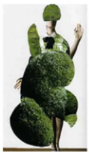 Fig. 11. Julien Kurtin. 