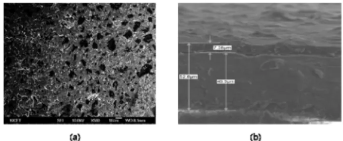 Fig. 3. Scanning electron micrographs of the 3D multilayered Pt lines: (a) surface and (b) side view