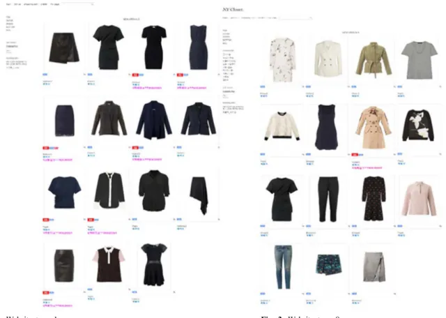 Fig. 2. Website  type  1.                                                                                                       Fig