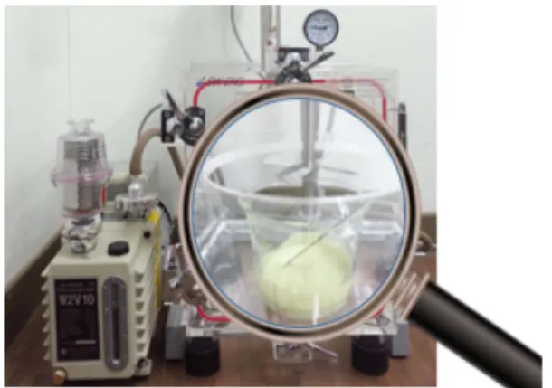 Fig. 2. Void removal process using the vaccum desicator