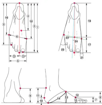 Fig. 1. 3D foot measurement items. Korean Agency for Technology and Standards (2012), p