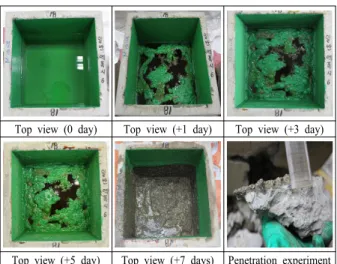 Table 3. Results of the penetration depth of dikes with general  concrete