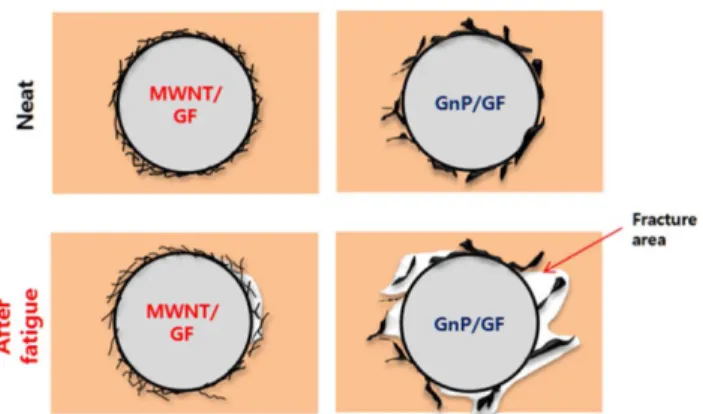 Fig. 7. Model of different nanoparticle coating after cyclic loading  