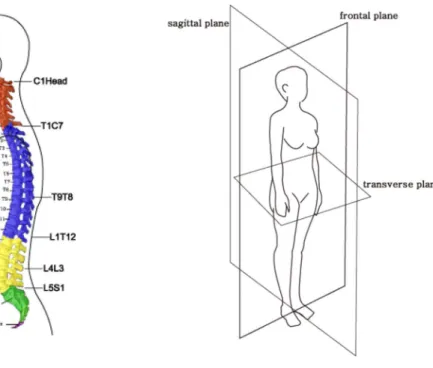 Fig. 4. Movements of upper body. 