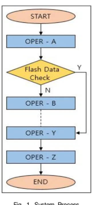 Fig.  1.  System  Process