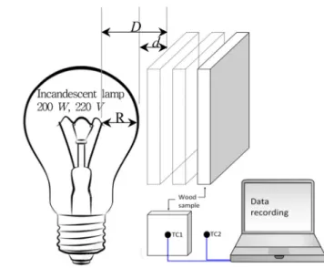 Fig. 3. Experimental setup.