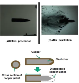 Fig. 1. Loss of projectile mass
