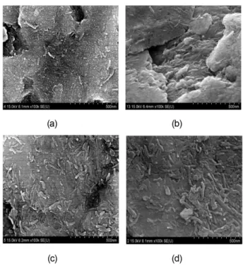 Fig. 4. SEM image of the CNT/copper composite powder (a) CNT 5 vol%, (b) CNT 10 vol%, (c) CNT 20 vol%, (d) CNT 30 vol%