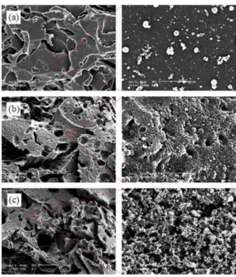 Fig. 6. FE-SEM photos of post-burning surfaces of CNT-phenolic composites: (a) 0; (b) 0.1 and (c) 0.3 wt% 