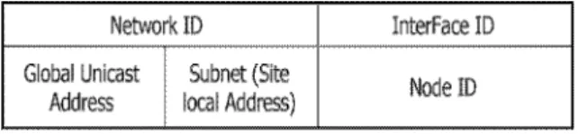 Fig.  1.  IPv6  structure 