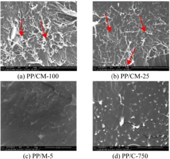 Fig. 6. SEM images of fracture surfaces of extruded carbon nano- nano-material-PP composites.