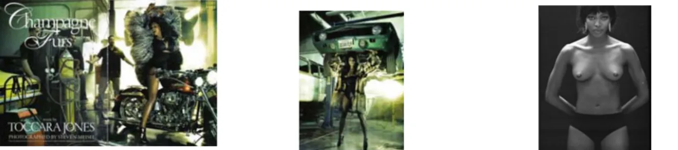 Fig. 3-2. 'Champagne Furs' by Steven Meisel.