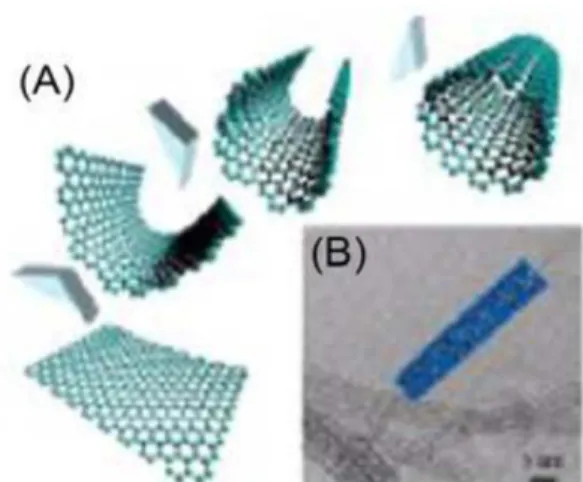 Table 1. Physical properties of CNTs and graphene