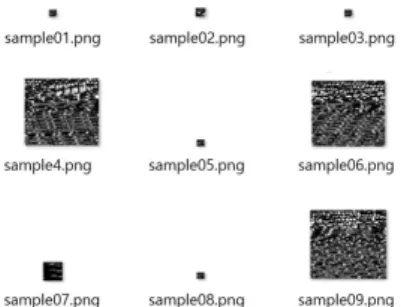 Fig.  3.  Sample  of  initial  PNG  images