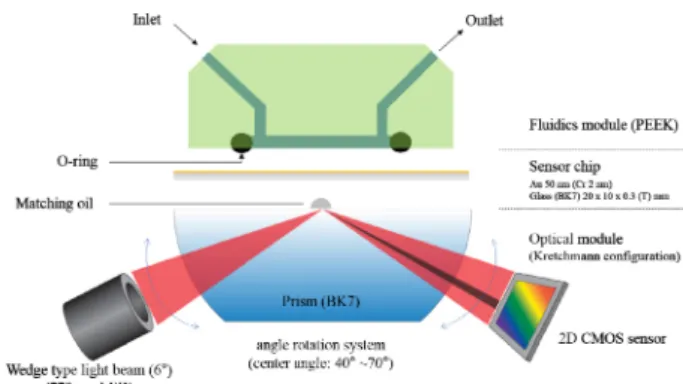 Fig. 1. Schematic of the SPR sensor system.