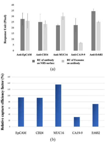 Fig. 4. (a) Responses of five antibodies to the SAM-functionalized surface and exosomes from MCF-7 cell to the five  immo-bilized antibodies: anti-EpCAM, anti-CD24, anti-MUC16, anti-CA19-9, and anti-ErbB2