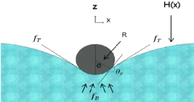 Fig. 2. 2-D model of water strider leg.