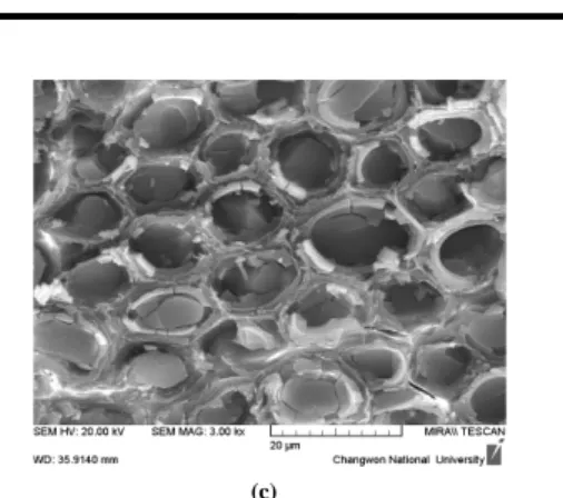 Fig. 9  FE-SEM images of cross section Abaca composites with three  different treatments ; (a) Untreated on Abaca, (b) 1% 15min  NaOH Treated Abaca, (c) 10s Plasma Polymerized Abaca  Fabric.