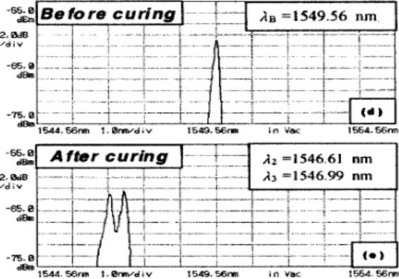 Fig. 4  Core and cladding of optical fiber.