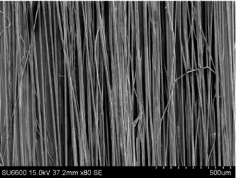 Fig. 6. The SEM micrograph of PVDF fibers fabricated under opti- opti-mum conditions