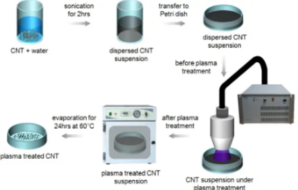 Fig. 1  Schematic diagrams of the plasma treatment of CNT.