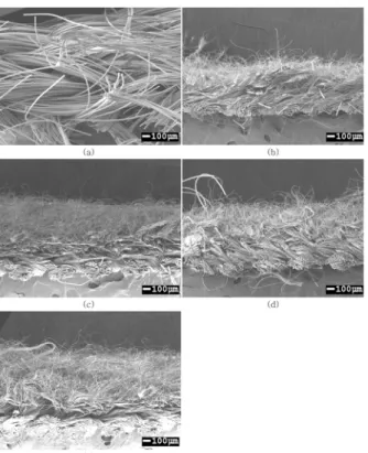 Fig. 5. Change of comfort properties of artificial suede by repeated raisings; (a) air permeability(A.P) and water vapor transmission(W.V.P), (b) thermal insulation.