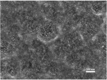 Fig. 2. Surface FE-SEM image of [(Ni 0.3 Mn 0.7 ) 1-x Cu x ] 3 O 4   ( x=0.22) thin film annealed at 380 o C for 5 h.