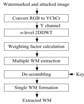 Fig.  4.  WM  extraction  procedure 