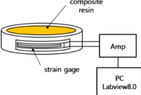 Fig. 2  Schematic of the strain measurement.