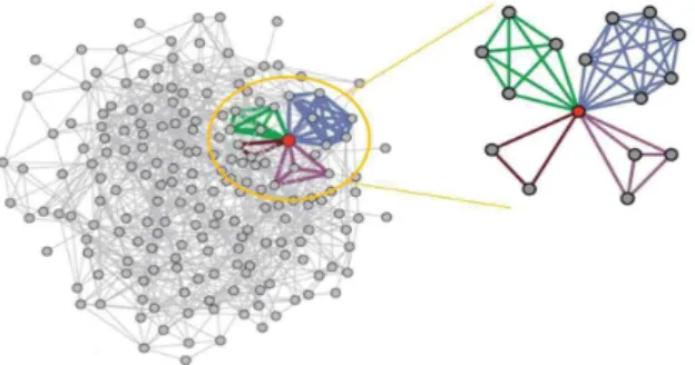 Fig.  1.  A  person's  networks  in  global-scale  network  [1]