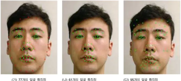 Fig.  4.    The  facial  features  generated  by  ASM