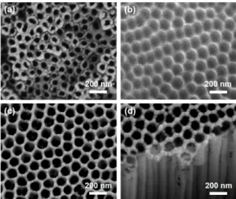 Fig. 2. Cross-sectional SEM images of annealed two-step TiO 2  nano- nano-tube electrodes according to the anodized time from 1 to 4 h